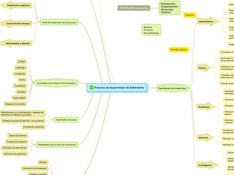 Proceso de Supervisión de Enfermería Mind Map