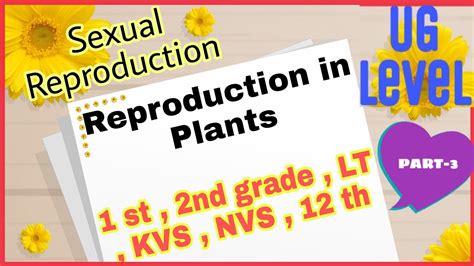 Reproduction In Plants ।। Sexual Reproduction In Angiosperm Plants