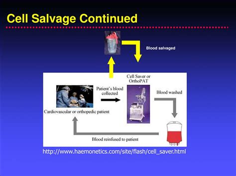 Ppt Blood Salvage Compatible Suction Canister Powerpoint Presentation