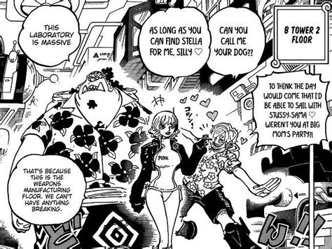 One Piece Emphasizes The Main Pairings Among The Straw Hat Pirates