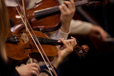 Esecuzione Dei Violinisti Dell Orchestra Sinfonica Immagine Stock