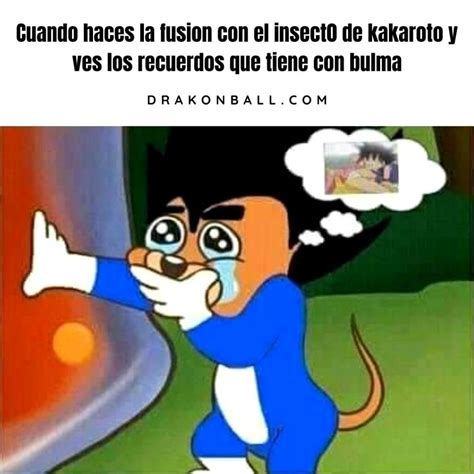 Los Mejores Memes De Dragon Ball