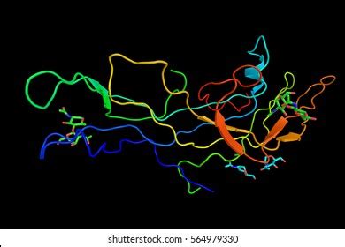 Human Chorionic Gonadotropin 3d Structure Used Stock Illustration ...