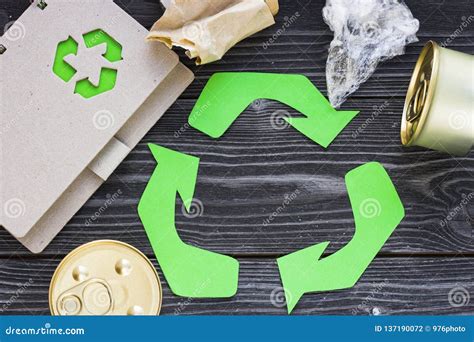 La Protecci N Del Medio Ambiente Ecolog A Y Concepto Del Reciclaje