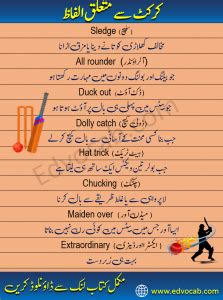 Cricket Vocabulary Words In Urdu And Hindi Edvocab EDVocab