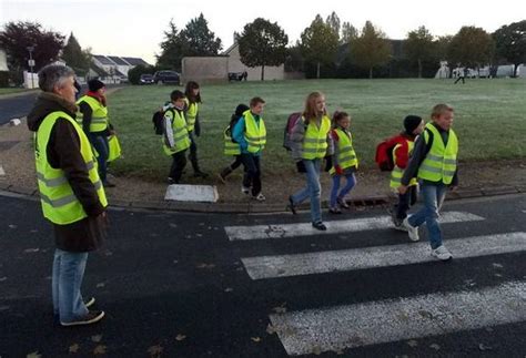 Le Pédibus En Bonne Marche