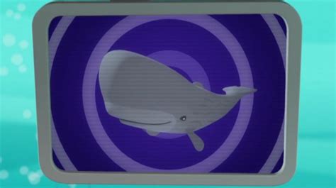 Sperm Whale Creature Report - CBeebies - BBC