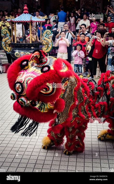 A Traditional Lion Dance During Chinese New Year Celebrations Thean