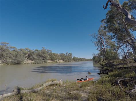 Kayaking in Murray River National Park, Katarapko Section, S.A.