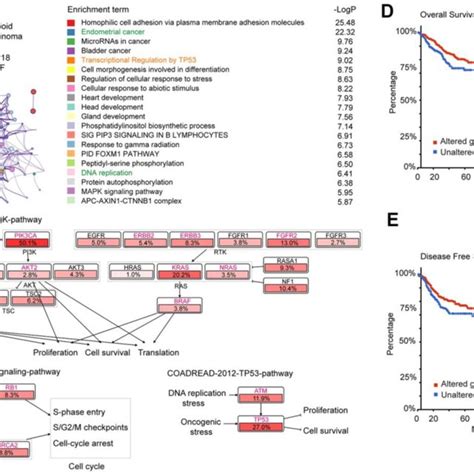 Gene Enrichment Analysis Of 275 Common Mutation Genes And Their Download Scientific Diagram