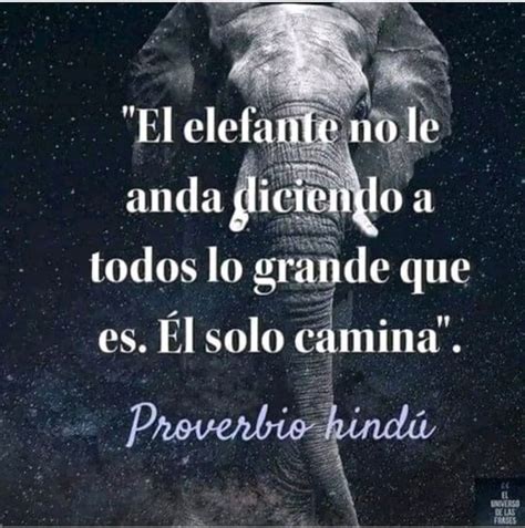 el elefante  le  diciendo  todos lo grande  es el solo
