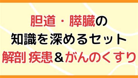 胆道・膵臓の知識を深めるセット 解剖・疾患＆がんのくすり｜動画ライブラリ