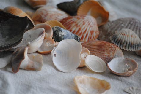 Free Images Beach Nature Sand Drop Light White Row Desert