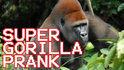 Super Gorilla Prank - YouTube