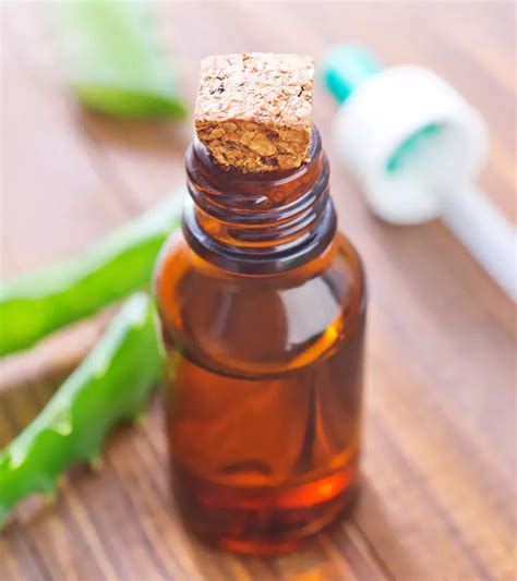 What Is Aloe Vera Oil Its Benefits Uses And How To Make It