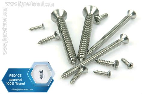 Stainless Steel Self Tapping Screw Manufacturer Tappers Bolt