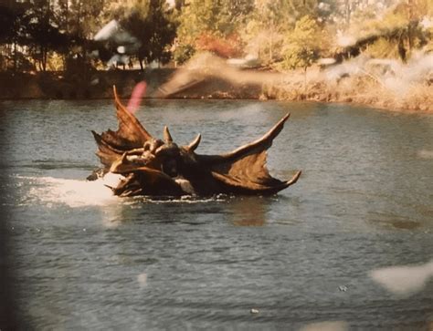 Mega Bunyip Photo Collection Billabong Bunyip Rsubmergedanimatronic