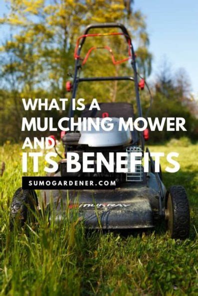 Best Mulching Lawn Mowers For 2025 Buyers Guide