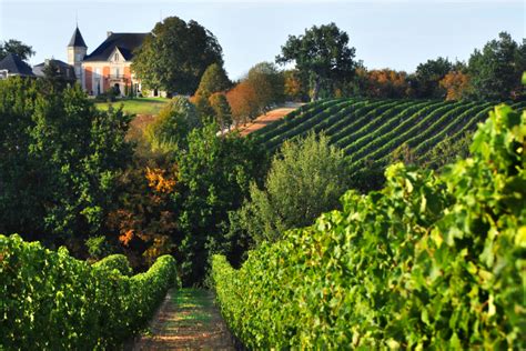 The Top 5 Most Popular Wine Tasting Regions - Wine History Tours