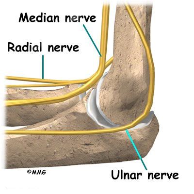 Elbow Dislocation | eOrthopod.com