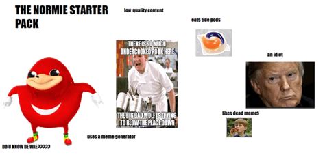 The Normie Starter Pack Rstarterpacks