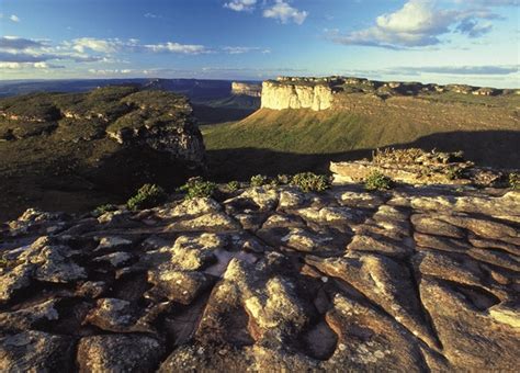 As Diversas E Espetaculares Paisagens Do Brasil Desviantes