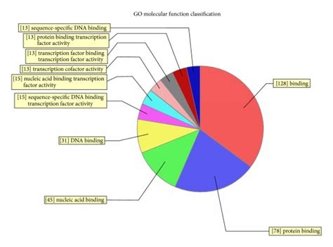 Go Analysis Classifications Of Predicted Target Genes Regulated By