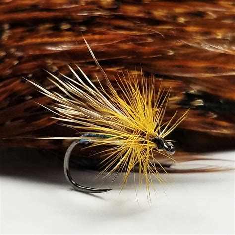 Dream Caddis Trout Fly Pattern Fly Fishing Flies Tyroam Fly Fishing