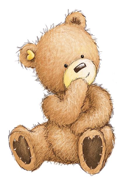 Popcornthebear Gallery Teddy Bear Drawing Teddy Bear Sketch Teddy