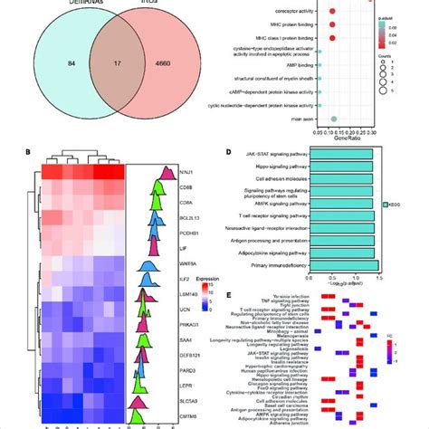 Identification And Functional Enrichment Analysis Of The Immune Related