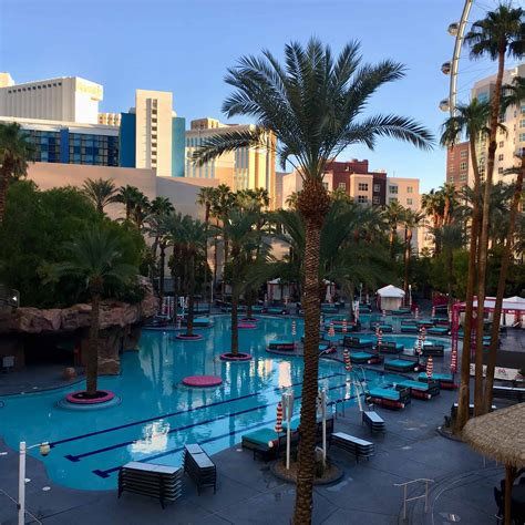 Flamingo Las Vegas Premium Room Review