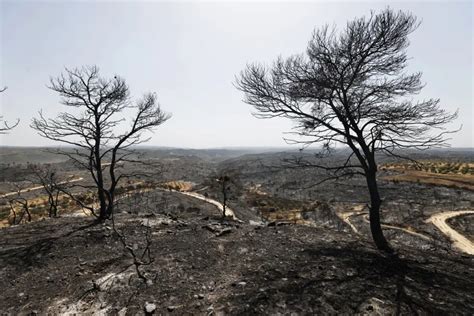 Fotos Del Incendio De Nonaspe El Viento Amenaza Con Complicar La