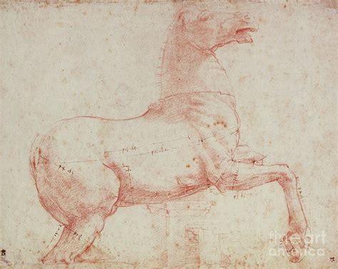 Study For Marble Horse Of The Quirinal Drawing By Raphael Fine Art