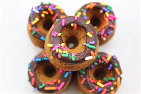 Baked Vegan Chocolate Mini Donuts – No Meat Fast Feet