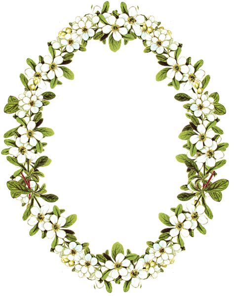 Circle Flower Frame Oval Floral Border Elegant Design Flower Motif