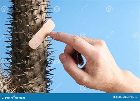 Finger Of Hand Approaches The Spines Of Cactus Which Are Protection