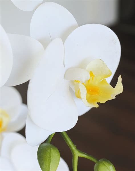 Künstliche Orchidee Phalaenopsis 55cm getopft Real Touch Soft creme