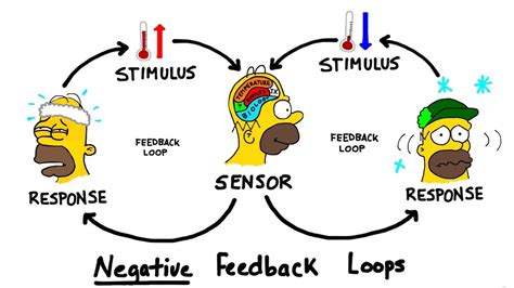 Examples Of Stimulus Diffusion