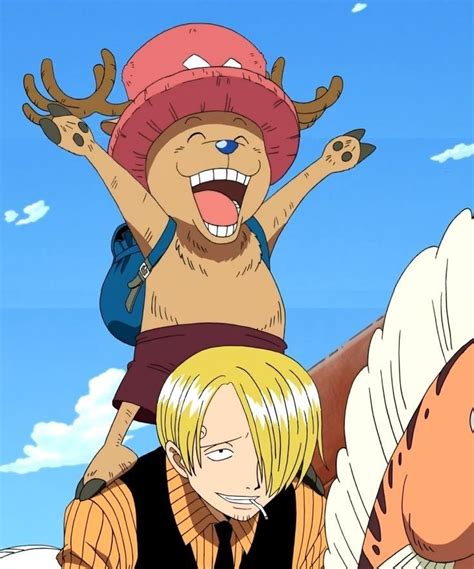 Chopper and Sanji | Animasi, Gambar anime, Gambar