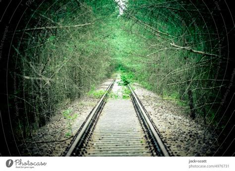 Aufgegebene Bahnstrecke Mitten Durch Den Wald Ein Lizenzfreies Stock