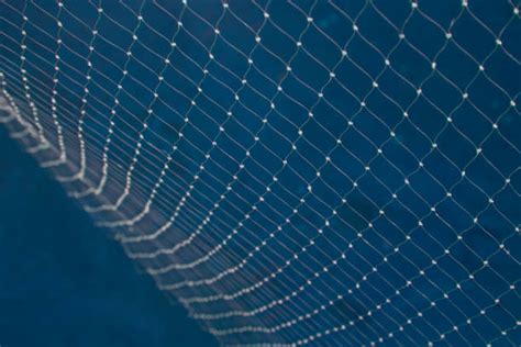 Bobbie Goods Crepusculo Pdf - 1,800+ Fishing Net Drawing Stock Photos, Pictures & Royalty-Free Images ...