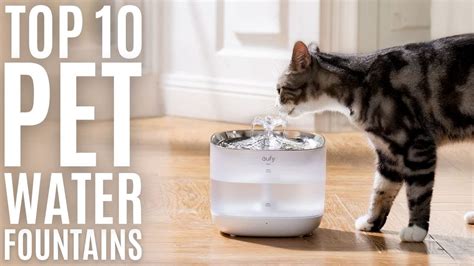 Top 10 Best Cat Water Fountains Of 2022 Pet Water Fountain For Cats