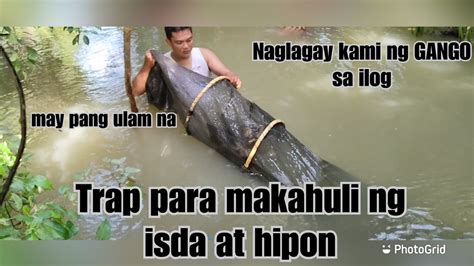 Naglagay Kami Ng Gango Sa Ilog Trap Para Makahuli Ng Isda At Hipon