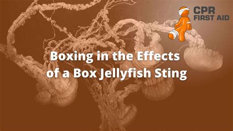 Box Jellyfish Venom Effects