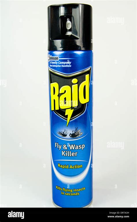 Fly Killer aerosol spray Stock Photo - Alamy