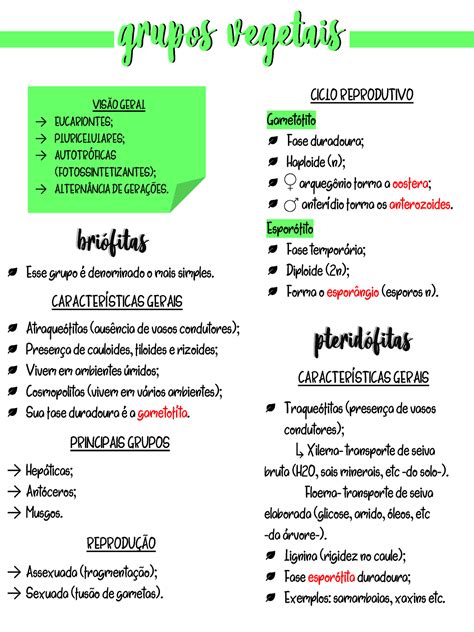 Grupos Vegetais - Grupos Vegetais - Resumo - CARACTERÍSTICAS GERAIS Esse grupo é ...