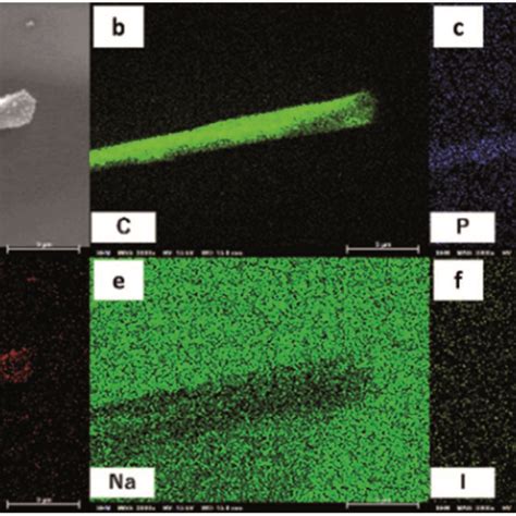 Sem And Corresponding Edx Maps Showcasing The Distribution Of Various