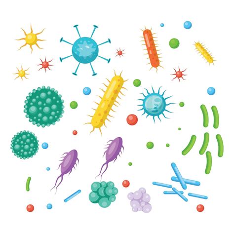 Set Of Bacteria Viruses Germs Microbes Volume Vector Art