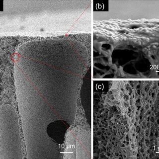 Morphological Characterizations Of The Raw Pvdf Membrane And Ag Pvdf