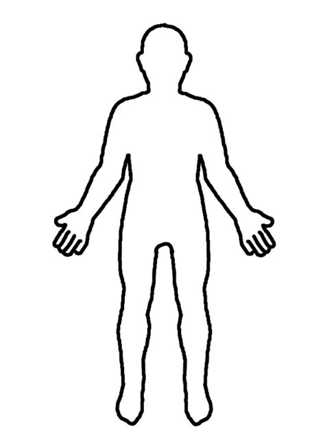 Free Body Outline Cliparts Download Free Body Outline Cliparts Png